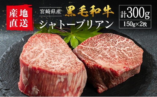 【産地直送】宮崎県産 黒毛和牛 シャトーブリアン ステーキ 2枚