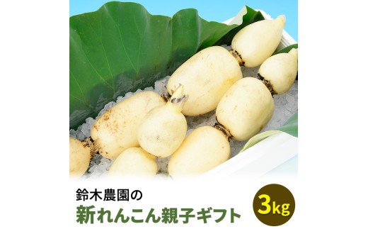 鈴木農園の新れんこん親子ギフト 3kg ※離島への配送不可 ※2025年8月下旬頃～9月下旬頃に順次発送予定