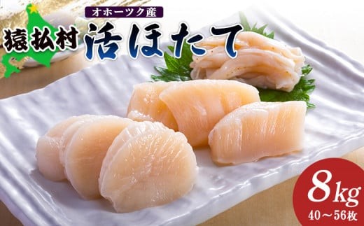 「活ほたて」8kg（40～56枚）　オホーツク産