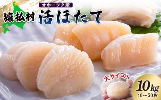 「活ほたて」大サイズ10kg（40～50枚）　オホーツク産