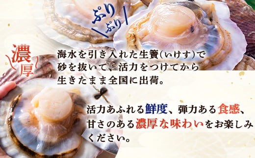 「活ほたて」大サイズ8kg（32～40枚）　オホーツク産
