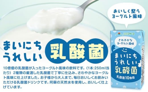 ヨーグルト in プレーン 1ケース（250ml×24本）乳酸菌飲料 らくのうマザーズ
