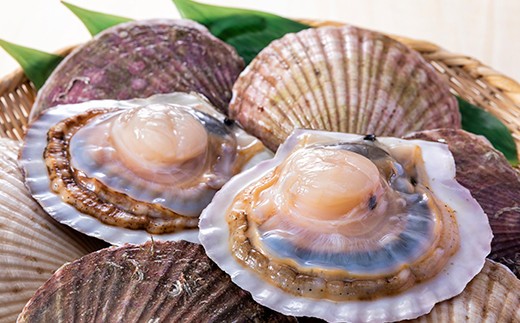 「活ほたて」3kg（15～21枚）　オホーツク産