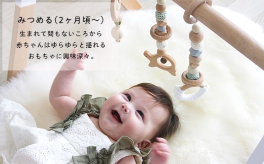 例）ホワイトジムにピンクのハンギングトイ
