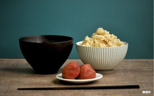 ＜令和7年度産＞玄米で健康促進！『定期便3回』北海道産ななつぼし10kg《令和７年10月頃より発送予定》