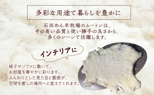 ムートン 羊 羊毛 天然素材 インテリア マット 足寄町 北海道