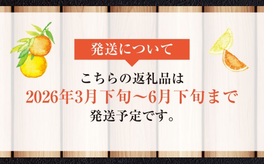 熊本県熊本市のふるさと納税 【規格外品】河内晩柑 ご家庭用 15kg  サイズ不選別【2026年3月下旬～6月下旬発送予定】 晩柑 柑橘 晩柑 くだもの 果物 フルーツ