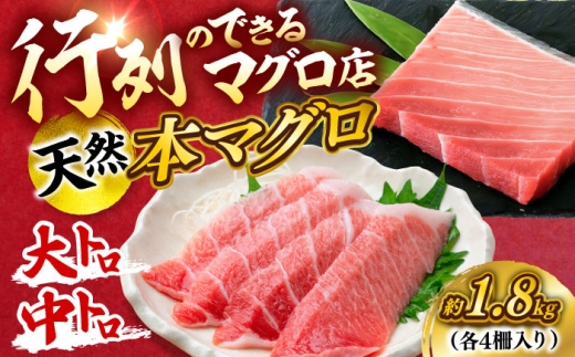 天然 本まぐろ大トロ＆中トロ 各4柵（計約1.8kg）【横須賀商工会議所 おもてなしギフト事務局（本まぐろ直売所 横須賀本店）】 [AKAK111]