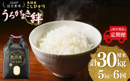 【JGAP認証農場】令和7年産 魚沼産コシヒカリ 定期便 計30kg（5kg×1袋×毎月全6回） うちがまき絆 | 新潟県産 コシヒカリ お米 米 こしひかり 白米 精米 魚沼産 ブランド米【0002-UK06DB00-02】