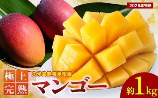 【2026年発送】久米島熱帯果樹園 極上完熟マンゴー 約1kg（2～3玉） アーウィン アップルマンゴー マンゴー トロピカル フルーツ 果物 南国 沖縄 久米島 ふるさと納税 農園直送 甘い ジューシー 濃厚 完熟 糖度が高い とろける 特選品 ジュース スムージー 812813 - 沖縄県久米島町