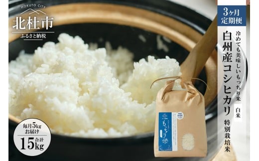 【令和7年度米3ヶ月定期便】白州産コシヒカリ　特別栽培米　5キロ  おこめ コシヒカリ 山梨県産 もっちり おにぎり お弁当