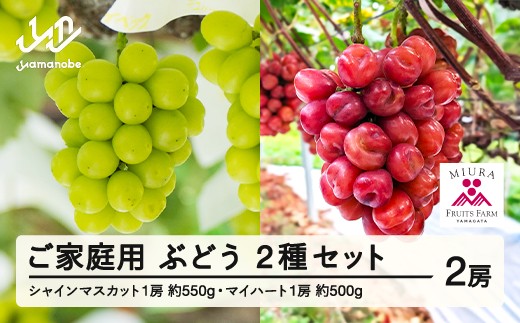 [ふるさと納税]先行予約 ぶどう シャインマスカット 約550g マイハート 約500g セット ご家庭用 令和7年産 2025年産 山形県山辺町産 フルーツ 果物 bg-busmk1050