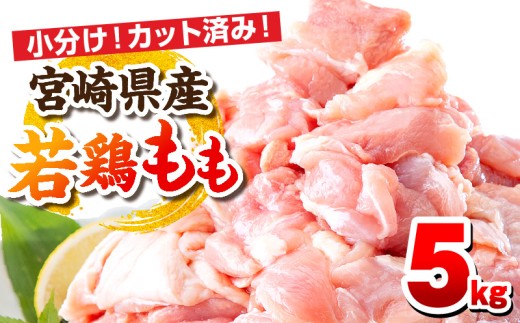 【12月発送予定】宮崎県産若鶏 もも肉 5kg(250g×20パック)_M146-008_02_dec 2260705 - 宮崎県宮崎市