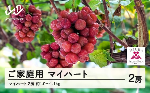 [ふるさと納税]先行予約 ぶどう マイハート 2房セット ご家庭用 令和7年産 2025年産 山形県山辺町産 フルーツ 果物 bg-bumxk1000