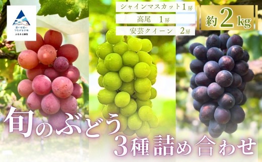 旬のぶどう3種詰め合わせ 2kg(シャインマスカット1房/高尾1房/安芸クイーン2房)