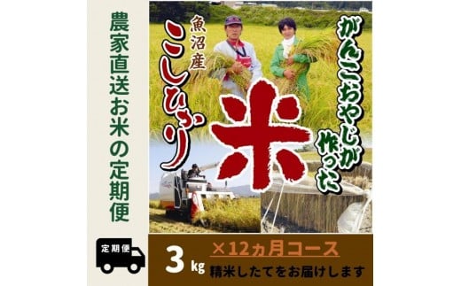 【令和７年産新米予約】12か月定期便　がんこおやじが作った南魚沼産コシヒカリ白米３kg【2025年10月20日頃より順次発送予定】