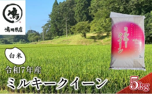 新米　令和7年 ミルキークイーン　白米　5kg　特別栽培米【お米 粘り もっちり おにぎり お弁当】 千葉県  [№5346-0324] 1430197 - 千葉県千葉市