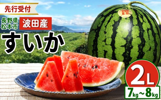 【先行受付：2026年発送】松本市 波田産 すいか 2L（7kg～8kg)│ 信州 松本市 長野県 西瓜 すいか 果物 スイカ フルーツ くだもの 新鮮 果汁 ジューシー 大きい ふるーつ 2026年 発送 1445102 - 長野県松本市