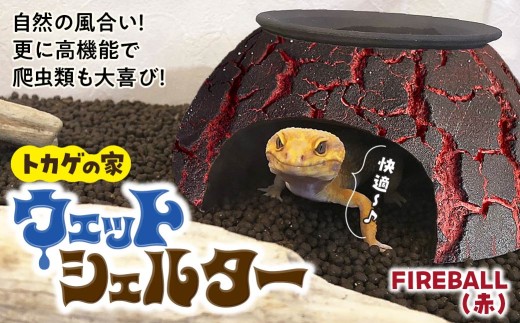 トカゲの家 ウェットシェルター 赤 爬虫類 | ペット トカゲ とかげ ペット用品 爬虫類用 シェルター 隠れ家 飼育用品 家 カビ抑制 観察 陶器 おしゃれ おうち デザイン 飼育 黒地 レオパードゲッコー レオパ フトアゴ イモリ カエル ヘビ 脱皮 作家 アーティスト ギフト 作品 陶芸家 手仕事 インテリア オブジェ 自然 ナチュラル レッド red セキグチタカヒト 埼玉県 北本市 2237351 - 埼玉県北本市