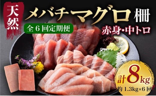 【 6回定期便 】 天然 マグロ 中トロ 赤身 柵 計1.3kg以上 サク さく メバチ 天然まぐろ マグロ 鮪 まぐろ 100% 冷凍 刺身 海鮮 丼 刺し身 小分け 高知 室戸 12000円