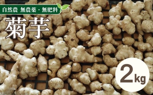 菊芋 2kg 自然農 芋 いも イモ 野菜 やさい ヤサイ こだわり お取り寄せ グルメ 送料無料 徳島県 吉野川市