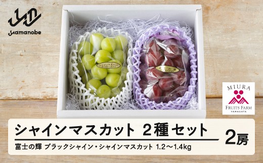 [ふるさと納税]先行予約 ぶどう 富士の輝 約650g シャインマスカット 約600g セット 令和7年産 2025年産 山形県山辺町産 ブラックシャインマスカット フルーツ 果物 bg-bufsx1250