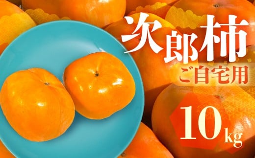 ≪先行予約≫ 生産量日本一 愛知県豊橋産 次郎柿 ご自宅用 10kg 柿 訳あり 不揃い 甘柿 果物 フルーツ 10月 11月 愛知県 豊橋市 ビタミンC 高栄養価 食物繊維 旬をおとどけ
