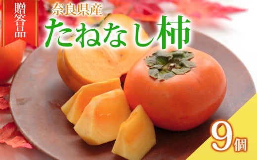 たねなし柿 贈答品 9個 | フルーツ くだもの 果物 柿 カキ かき 贈り物 贈答用 ギフト用 フルーツギフト 贈答 人気 国産 産地直送 奈良県 五條市 種なし タネなし 10月 11月 秋 旬 食物繊維 豊富 美容 健康 農家直送 なかい農園 お取り寄せ グルメ 送料無料 まったり とろける 美味しい ギフト プレゼント 果実 甘い 食べやすい 
