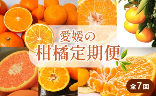 【先行予約】【全7回】 柑橘定期便｜  興居島みかん あいか はれひめ いよかん温州 温州みかん 愛果 愛果28号 紅まどんな と同品種 伊予柑 せとか 神ポン カラマンダリン 不知火 柑橘 定期便 取り寄せ 甘いみかん ギフト 愛媛県産 ミカン みかん mikan 蜜柑 フルーツ 果物 くだもの お取り寄せ 産地直送 数量限定 人気 おすすめ 送料無料 贈答 ギフト 愛媛県 松山市