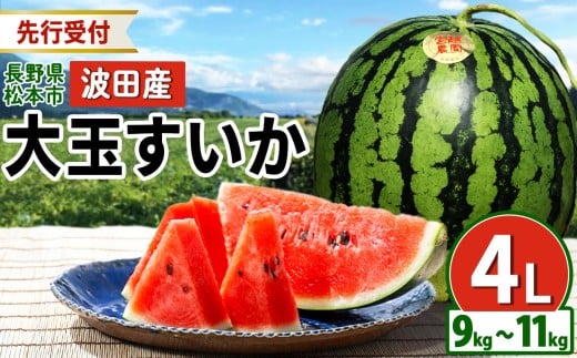 【先行受付：2026年発送】松本市 波田産 大玉すいか 4L（9kg～11kg)│ 信州 松本市 長野県 西瓜 すいか 果物 大玉 スイカ フルーツ くだもの 新鮮 果汁 ジューシー 大きい ふるーつ 2026年 発送 1445104 - 長野県松本市