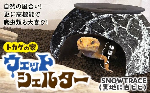 トカゲの家 ウェットシェルター 黒 & 白 爬虫類 | ペット トカゲ とかげ ペット用品 爬虫類用 シェルター 隠れ家 飼育用品 家 カビ抑制 観察 陶器 おしゃれ おうち デザイン 飼育 ブラック black レオパードゲッコー レオパ フトアゴ イモリ カエル ヘビ 脱皮 作家 アーティスト ギフト 作品 手仕事 陶芸 インテリア オブジェ 自然 ナチュラル セキグチタカヒト 埼玉県 北本市
