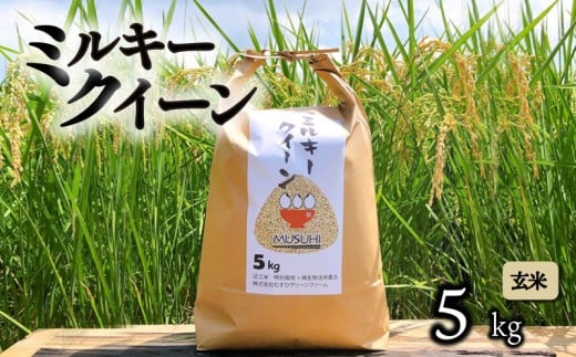 【令和7年産先行受付】 ミルキークイーン 5kg 玄米 令和7年産 新米 米 こめ コメ お米 ご飯 ミルキークイーン ミルキークィーン 先行受付 令和7年 滋賀 彦根