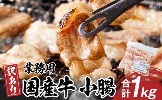 [業務用・訳アリ]国産牛 小腸 1kg
