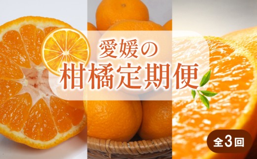 【先行予約】【全3回】 柑橘定期便｜  せとか 神ポン カラマンダリン 不知火 柑橘 定期便 取り寄せ 甘いみかん ギフト 愛媛県産 ミカン みかん mikan 蜜柑 フルーツ 果物 くだもの お取り寄せ 産地直送 数量限定 人気 おすすめ 送料無料 贈答 ギフト 愛媛県 松山市