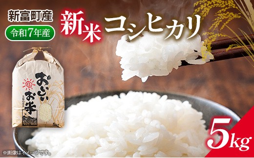 新米コシヒカリ5kg ※令和7年産 宮崎県新富町産【B674】