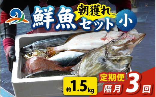 【定期便　隔月３回】【朝獲り】漁師厳選 鮮魚セット (小) 3種類以上 約1.5kg 魚 詰め合わせ 新鮮 煮物 焼き物 お造り 刺身 晩酌 食卓 BBQ 急速冷凍 真空パック 鮮魚セット 詰合せ 鮮魚店 厳選 お任せ 鮮度 産直 海鮮 加熱用 福井県 南越前町 越前 盛り合わせ おまかせ お楽しみ おつまみ おかず ご飯のお供 送料無料  2240919 - 福井県南越前町