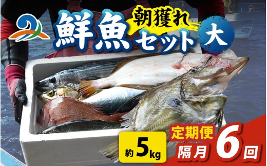 【定期便　隔月６回】【朝獲り】漁師厳選 鮮魚セット (大) 5種類以上 約5kg 魚 詰め合わせ 新鮮 煮物 焼き物 お造り 刺身 晩酌 食卓 BBQ 急速冷凍 真空パック 鮮魚セット 詰合せ 鮮魚店 厳選 お任せ 鮮度 産直 海鮮 加熱用 福井県 南越前町 越前 盛り合わせ おまかせ お楽しみ おつまみ おかず ご飯のお供 送料無料  2240924 - 福井県南越前町