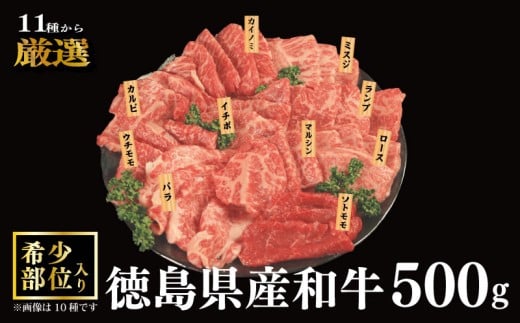 焼肉 セット 牛肉 おまかせ 5種 国産和牛 ロース バラ 外もも 内もも マルシン カイノミ イチボ ランプ カルビ ミスジ トンビ 和牛 焼き肉 希少部位 赤身 食べ比べ にく ぎゅう うし BBQ やきにく お祝い イベント パーティー おかず おつまみ 贈答 プレゼント 徳島県 吉野川市