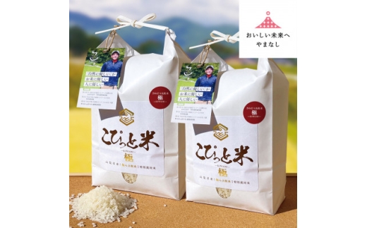 きわだつ大粒!＜令和7年産＞こぴっと米＜極＞白米・4kg　特別栽培米【1652052】