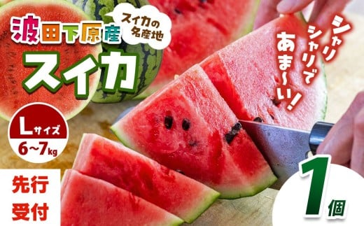 【先行受付：2026年発送】選べる! Heart-Landﾉﾑﾗ 波田下原産スイカ　Lサイズ　1個（6～７ｋｇ） | ふるさと納税 フルーツ 果物 スイカ 西瓜 波田スイカ 下原スイカ 夏 旬のスイカ 大玉スイカ シャリ感 野菜 長野県 松本市 人気 オススメ 先行受付 令和8年 発送 1444906 - 長野県松本市