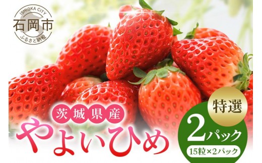 【2026年先行予約】やよいひめ 特選 いちご イチゴ 苺 15玉 2パック 国産 果物 フルーツ くだもの 1月 2月 3月 発送 冬 旬 産地直送 農家直送 産直 甘い デザート スイーツ 家庭用 贈答 贈答用 茨城 茨城県 石岡市 (A13-004)