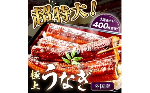 【定期便 毎月×3回】超特大！ふっくら肉厚！うなぎ蒲焼 1尾 400g前後　YK00480