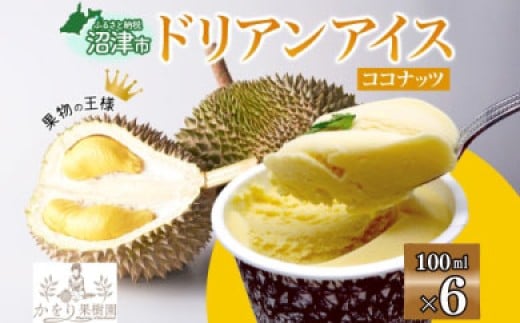 ドリアン ココナッツ アイスクリーム 100ml 6個 濃厚 ココナッツミルク カップアイス スイーツ お菓子 ソフトクリーム おやつ デザート ご当地アイスセット 詰め合わせ お取り寄せ ギフト お返し 送料無料 かをり果樹園 静岡県 沼津市