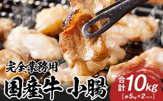 [完全業務用]国産牛 小腸 10kg