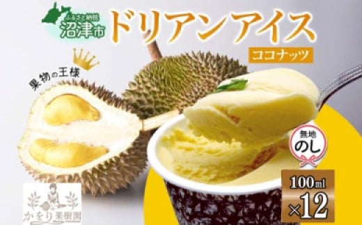 無地熨斗 ドリアン ココナッツ アイスクリーム 100ml 12個 セット 濃厚 ココナッツミルク カップアイス スイーツ お菓子 ソフトクリーム おやつ デザート ご当地アイスセット 詰め合わせ お取り寄せ ギフト お返し 送料無料 かをり果樹園 静岡県 沼津市