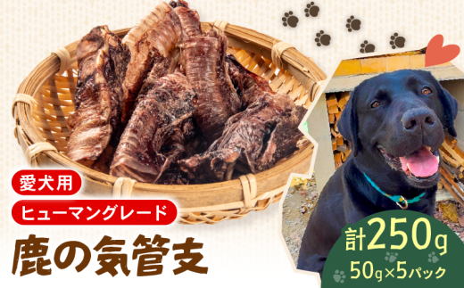 犬用 シカ の 気管支 50 g× 5 袋 ジビエ  鹿肉 肉 鹿 ペットフード ドッグフード ペット 安心 健康 おやつ 犬 国産 ごはん ペット ペット用品 ペットフード 犬のおやつ  犬用 ペット用 ご褒美