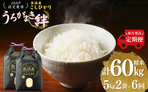 【JGAP認証農場】令和7年産 魚沼産コシヒカリ 定期便 計60kg（5kg×2袋×毎月全6回） うちがまき絆 | 新潟県産コシヒカリ お米 米 こしひかり 魚沼産 ブランド米【0002-UK07DB00-01】