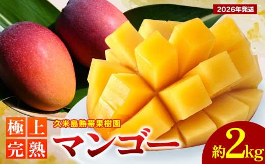 【2026年発送】久米島熱帯果樹園 極上完熟マンゴー 約2kg（3～5玉） アーウィン アップルマンゴー マンゴー トロピカル フルーツ 果物 南国 沖縄 久米島 ふるさと納税 農園直送 甘い ジューシー 濃厚 完熟 糖度が高い とろける 特選品 ジュース スムージー 812814 - 沖縄県久米島町