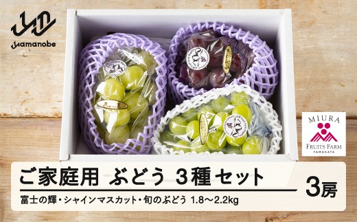 [ふるさと納税]先行予約 ぶどう 富士の輝 シャインマスカット 他1種 3種セット ご家庭用 令和7年産 2025年産 山形県山辺町産 ブラックシャインマスカット フルーツ 果物 bg-bu3xk1800