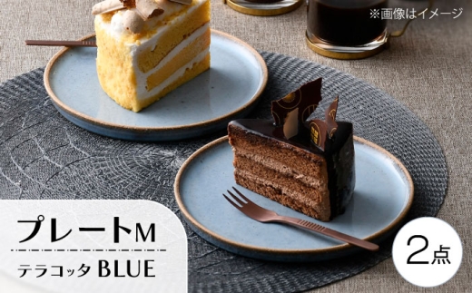 [波佐見焼]テラコッタ・BLUE プレートM 2枚セット[利左エ門窯] [QB67]